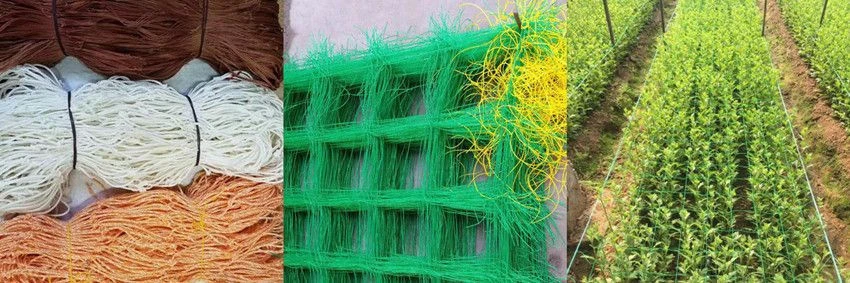 Buy Polyethylene Agricultural Net from Tpstrong Net&Rope Co.ltd, China ...