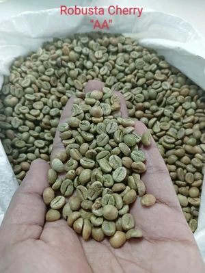 ROBUSTA CHERRY AA GREEN COFFEE BEANS
