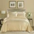 Import Luxury Champagne Silk Satin Bedding Set Duvet Cover Bed Sheet Pillowcases from China