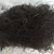 Import Quality Seaweed Supply for sale from South Africa