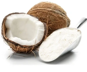 Organic Coconut Milk Powder Coconut Water Powder
