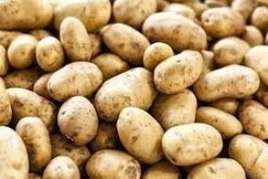 Fresh Potatoes Organic