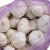 Import Chinese white garlic is good in quantity and price from China