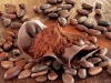 Cocoa Beans and Powder