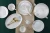 Import Flower Dinner Set from China