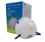 N95 Face Mask