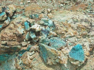 Best Price Material Raw Copper Ore Concentrate