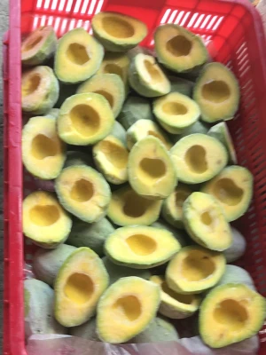 Frozen Avocado