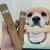 Import COFFEE WOOD CHEW TOY FOR DOG/ HIGH QUALITY PET CHEWING TOY from Vietnam