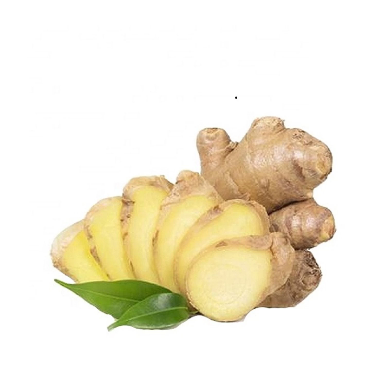 wholesale-new-crop-fresh-ginger-ginger-in-low-price-ginger-for-market