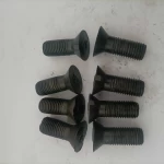Mortise and tenon bolts