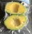 Import Frozen Avocado from Vietnam