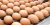 Import Fresh White and Brown Eggs for Sale from Germany
