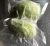 Import Frozen Avocado from Vietnam