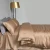 Import Luxury Champagne Silk Satin Bedding Set Duvet Cover Bed Sheet Pillowcases from China
