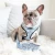 Import OEM accept adjustable dog collar leash and reversible harness set with dog bowtie from China