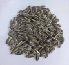 Hot Selling Raw Sunflower Seeds Dried Edible Snack Kernels High Grade 25kg pp Bags 24 Months Shelf Life