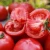 Import Canned Tomato Sauce Sizes from South Africa