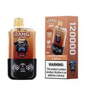 Bang Leader 120000 Puffs Melbourne Top Trending Double Tank Smart Screen Pod Device OEM/ODM Wholesaler