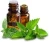 Import Mint oils from India