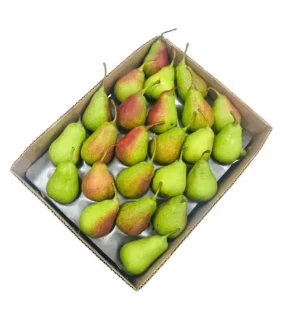 Celina Pears New Season