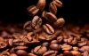 Roasted Beans