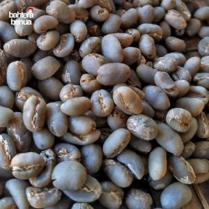 Arabica Coffee Beans Gayo Peaberry