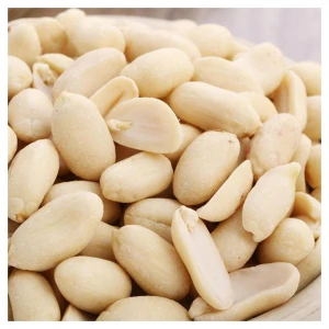 Peanut without shell Wholesale Peanuts Organic Peanut Kernels Best Price Raw Peanuts Peanuts Raw In Shell High