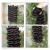 Import 100% Brazilian curly virgin human hair weave bundle,brazilian deep wave virgin hair bundles,real raw mink brazilian hair vendor from China