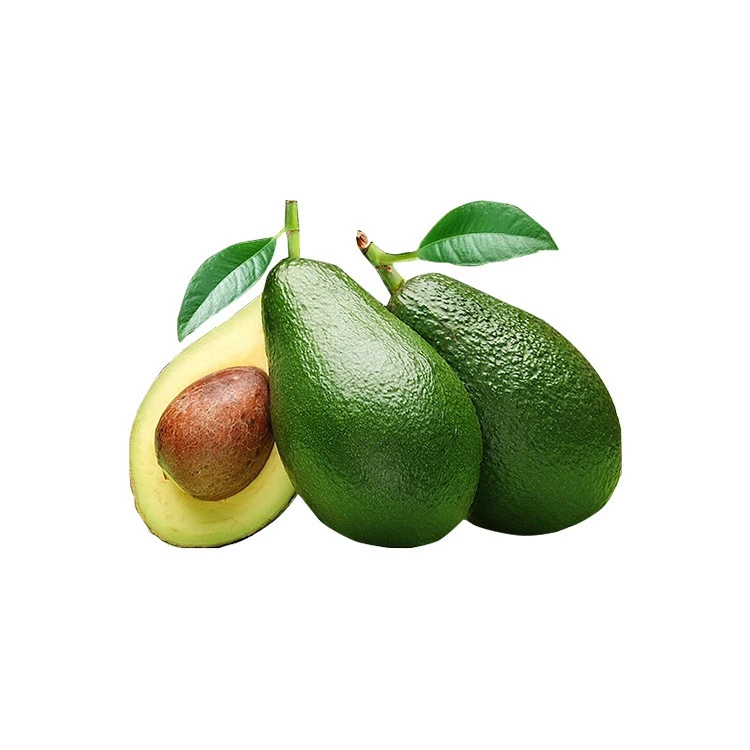100% Natural Fresh Mexican Hass Avocado Avocados