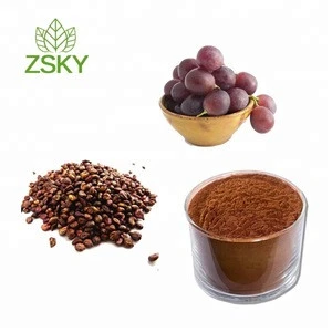 100% Natural Grape Fruit Seed Extract 95 Proanthocyanidine Powder