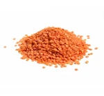 100% Organic Lentils