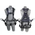 Import 100% polyester shoulder waist leg support safety harness from China