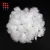 Import 1.2D-2.5D Raw white recycled polyester staple fiber/psf from China