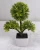 Import 2016 new design factory price artificial podocarpus bonsai for decoration from China