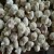 Import 2018 china garlic exporter natural fresh normal white garlic price for sale from China