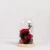 Import 2021 New Design Preserved Flowers In Glass Dome Preserved Rose Flower With Best Quality from China