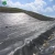 Import 2.0mm waterproof hdpe geomembrane plastic sheet liner dam liner from China