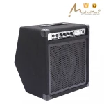 35-Watt Electric Guitar Amplifier