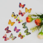 50Pcs/Bag Decorative Butterfly Wood Buttons Eye Buttons For Clothes Garment Accessories Button