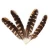 Import 6-7.2 Inch(15-18 cm)High Quality Natural Patterned Pheasant Wings Feathers for Dream catcher and mural from China
