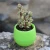 7x7cm Color Mini Plant Small Flower Pot For Office Decoration Home Decoration Mini Pp Resin Plastic Plant Small Flower Pot TSLM1