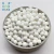 Import Activated Alumina chemical catalyst from China