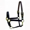 Adjustable horse leather halter