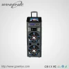 Advanced LED Screen With DVD/VCD Player Power Speaker Amplifier Pro