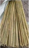Agriculture products/Bamboo Raw Materials / Bamboo pole