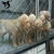 Import Animal Cage from China