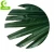 Import artificial giant fan palm leaf from China