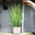 Import Artificial Potted Grass Plants Wholesale Price Customized Simulation Small Faux Reed Potted Artificial Plants from China
