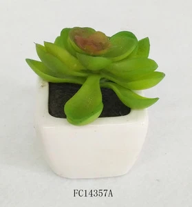 Artificial succulent plant with ceramic pot for home decoration
